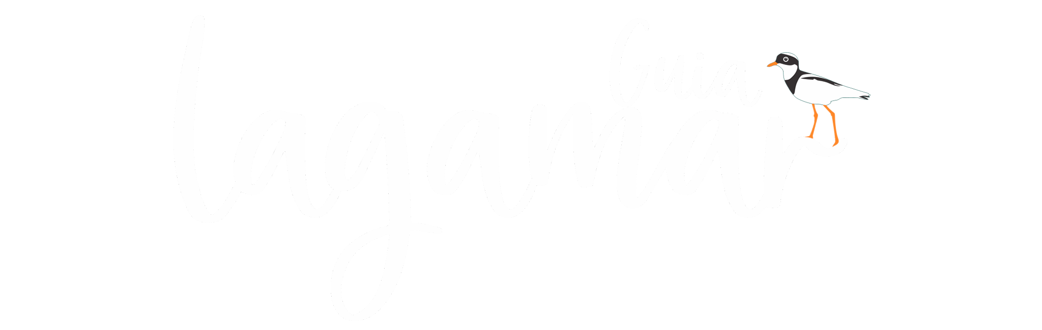logo icon